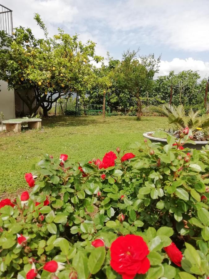 B&B Villa Le Mattine Agropoli Exteriér fotografie